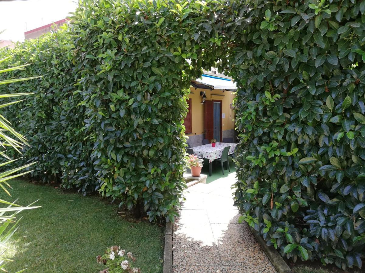 סנט'אנטוניו אבאטה Depandance Con Piscina In Uso In Esclusivo In B&B מראה חיצוני תמונה